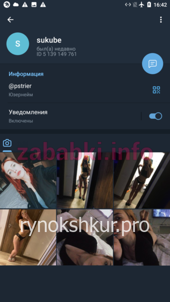 Наталья Федоровна Пазилина Наталья Федоровна Пазилина