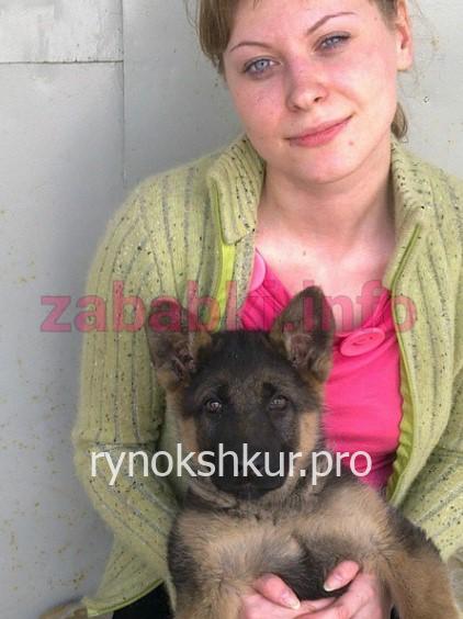 Анна Некрасова 