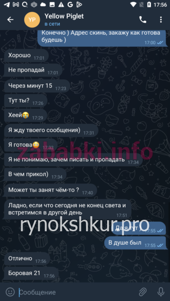 Ксения Константиновна Пестрикова Ксения Константиновна Пестрикова