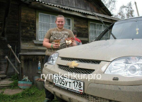 Александра Алексеевна Павлова