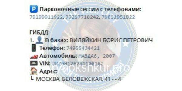 Анастасия Борисовна Виляйкина Анастасия Борисовна Виляйкина