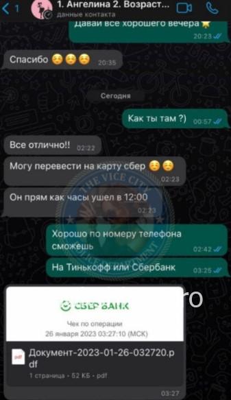Екатерина Владимировна Сафронова Екатерина Владимировна Сафронова