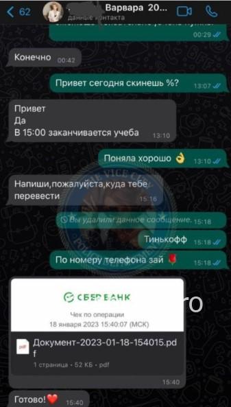 Екатерина Сергеевна Арсентьева Екатерина Сергеевна Арсентьева
