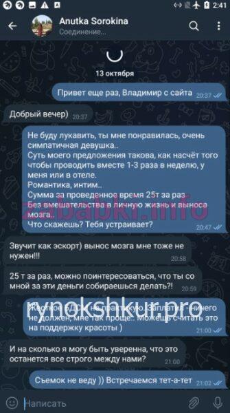 Анна Сорокина 