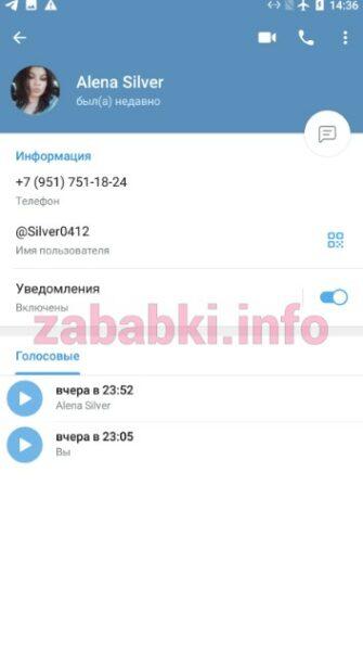 Алена Владимировна Серебренникова (Стешова)