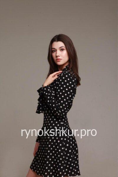Вероника Стариченкова 