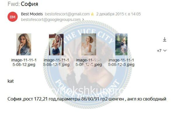 Софья Борисовна Соколова Софья Борисовна Соколова