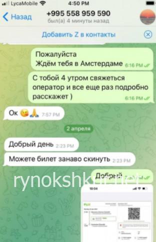 Земфира Айвазова 