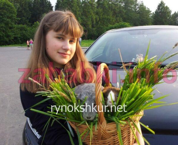 Маргарита Мартынова 