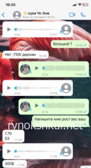 Анна Цераш 