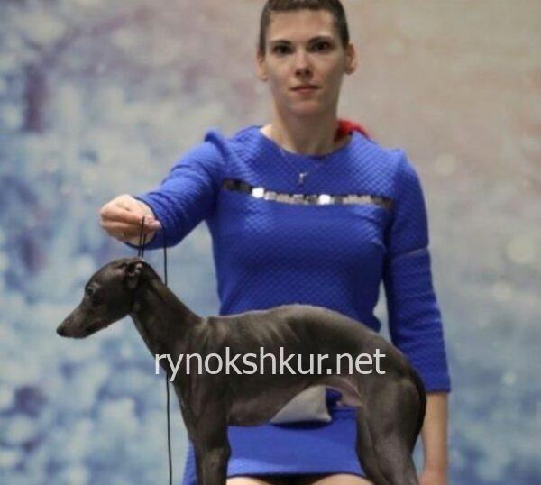 Марина Александровна Левина