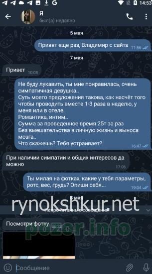 Елена Шагурина