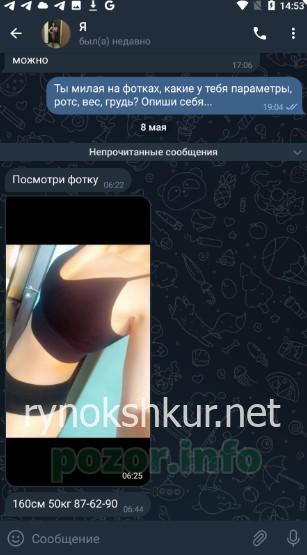 Елена Шагурина