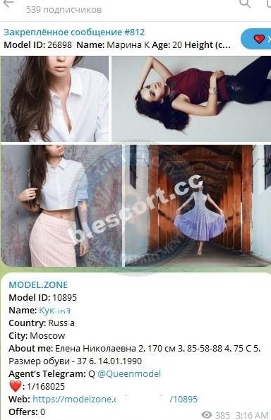 Елена Николаевна Кукина 