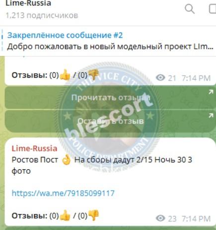 Анастасия Николаевна Садовая 